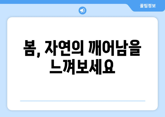 24절기 입춘 우수| 봄을 알리는 따스함과 함께 맞이하는 농사의 시작 | 입춘, 우수, 농업, 24절기, 봄, 기온 상승, 겨울잠 깨는 동물, 봄맞이 준비