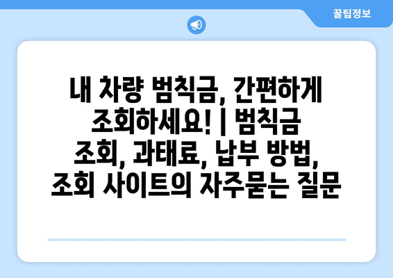 내 차량 범칙금, 간편하게 조회하세요! | 범칙금 조회, 과태료, 납부 방법, 조회 사이트