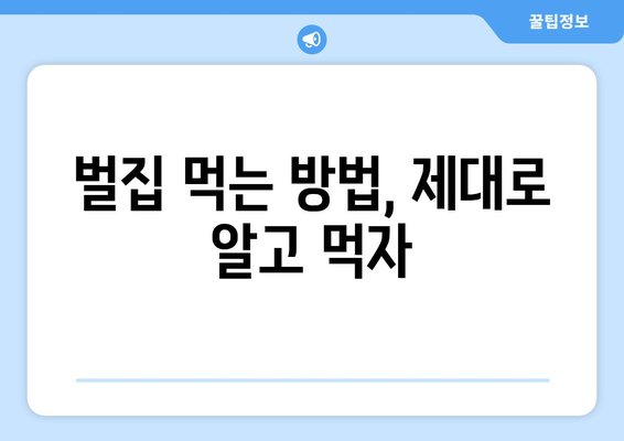 벌집, 먹어도 괜찮을까요? | 벌집 먹는 법, 꿀벌, 벌집 효능, 주의 사항