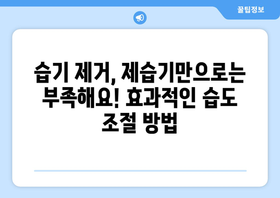 습기 제거 완벽 가이드| 집안 곳곳 습기 잡는 10가지 방법 | 습기 제거, 제습, 곰팡이 제거, 습도 조절