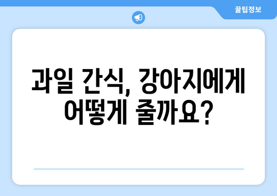 강아지가 안전하게 먹을 수 있는 과일 10가지 | 반려견, 간식, 건강