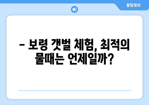 보령 갯벌 체험, 최적의 물때를 찾아 떠나세요! | 보령 물때표, 갯벌체험, 조개잡이, 낚시, 물때 정보