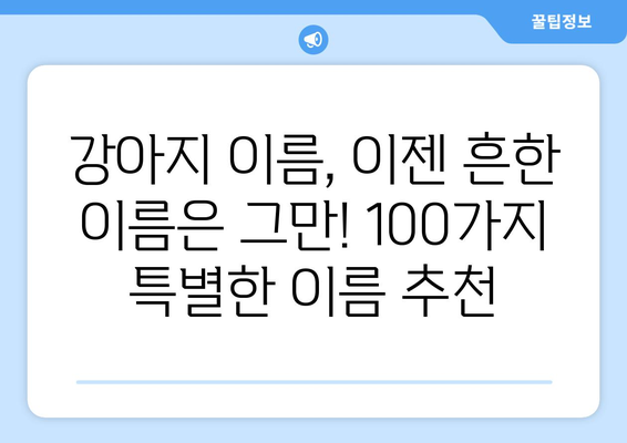 🐶 나만의 센스 넘치는 강아지 이름 찾기| 100개의 독특하고 예쁜 이름 추천 | 강아지 이름, 애견 이름, 개 이름, 댕댕이 이름