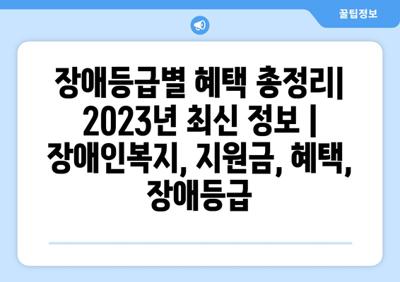 장애등급별 혜택 총정리| 2023년 최신 정보 | 장애인복지, 지원금, 혜택, 장애등급