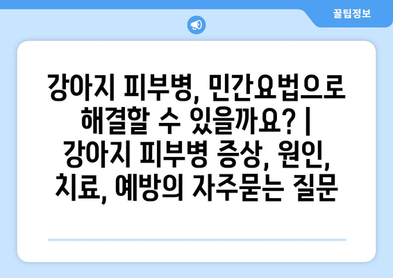 강아지 피부병, 민간요법으로 해결할 수 있을까요? | 강아지 피부병 증상, 원인, 치료, 예방