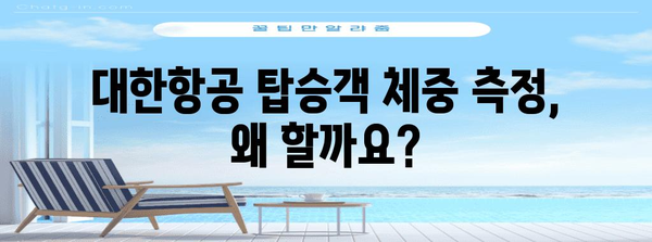 * 대한항공 탑승객 체중 측정 의문 해결 | 이유와 절차