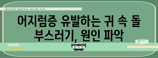 귀 속 돌 부스러기 | 어지럼증 치료법과 예방법