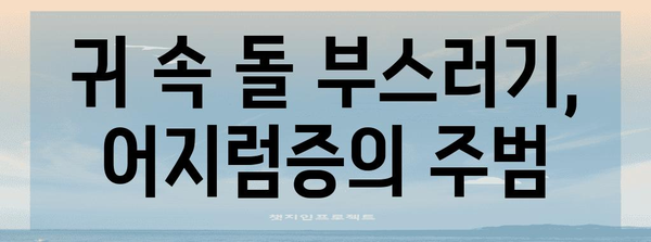 귀 속 돌 부스러기 | 어지럼증 치료법과 예방법