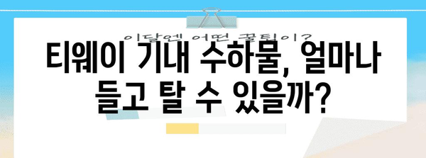 티웨이 기내 수하물 규정 | 허용 규격, 제한 사항 파악하기