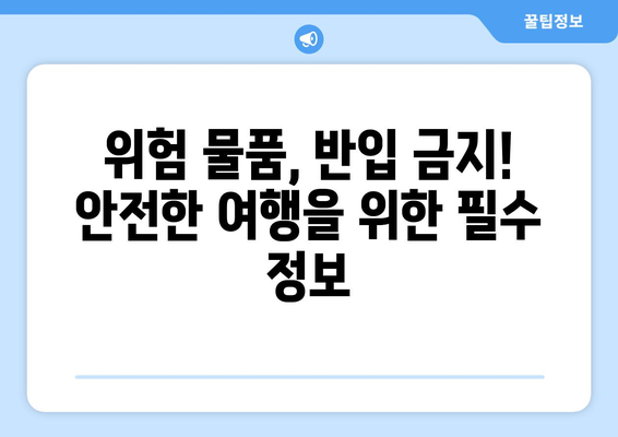 비행기 기내 안전 가이드 | 허용/금지 반입 물품 국내/해외 차이