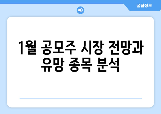 1월 공모주 청약 일정 | 투자를 위한 필독 가이드