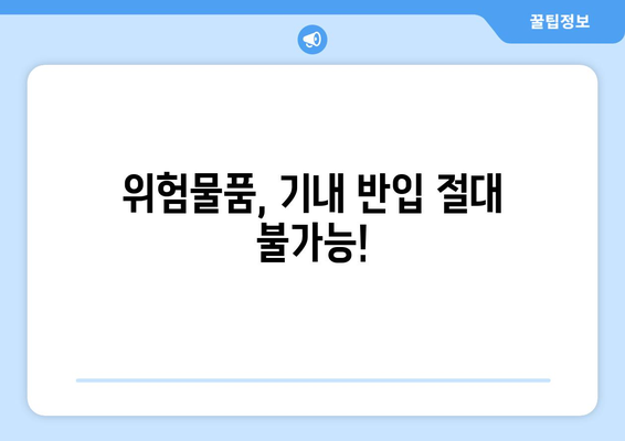 기내 금지 물품 가이드 | 충전기, 액체 등