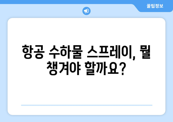 항공 수하물 스프레이 필수 지침 | 국내선과 국제선 차이점