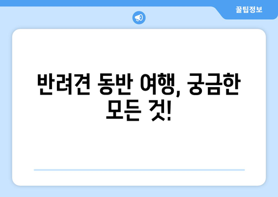 아시아나항공 반려견 운송 | 함께 하는 여행 즐기기