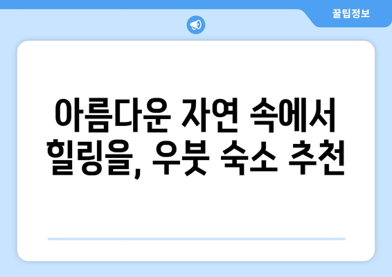 우붓 여행 완전 소개 | 지락실도 빠지지 못한 매력