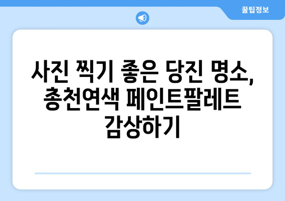 당진 천연색 여행 | 총천연색 페인트팔레트 탐방