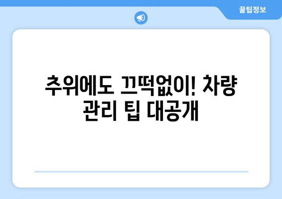 추위에 대비한 차량 관리 | 안전성과 편의성을 위한 실용적 팁