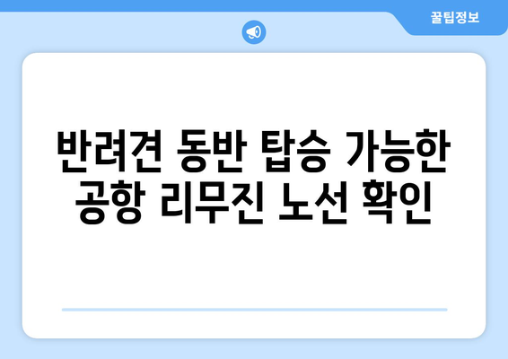 공항 리무진버스 반려견 동반 가이드 | 편안하고 안전하게 여행하기