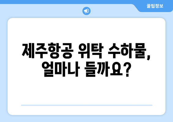 제주항공 수화물 위탁 비용과 별도 구매 방법 파헤치기