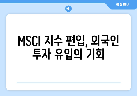 MSCI 편입 | 증시에 미치는 영향과 공매도의 관계