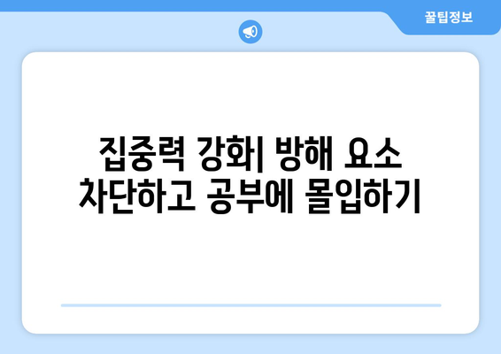 공부 기법 개선 | 능률 향상 및 점수 상승