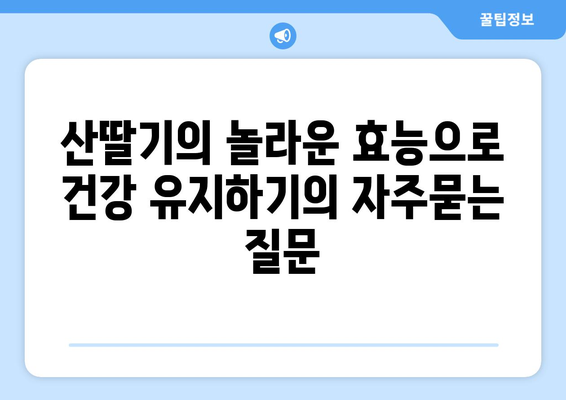 산딸기의 놀라운 효능으로 건강 유지하기