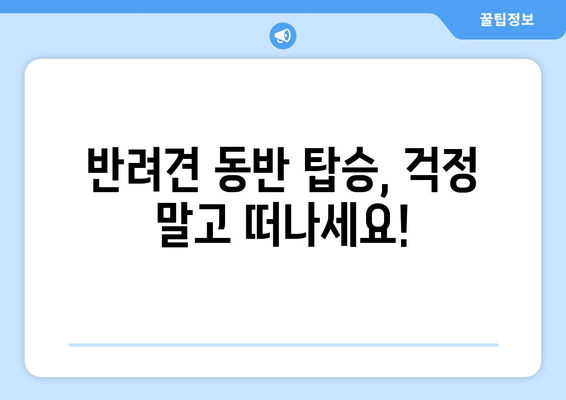 인천공항 리무진버스로 반려견과 함께 편안하게 여행하기