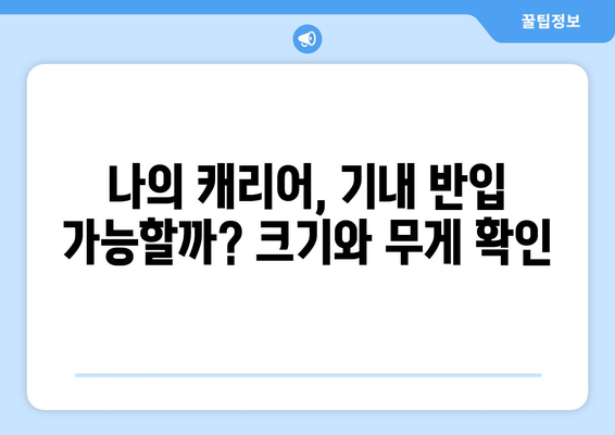 기내 반입 규정 비교 | 항공사별 허용 가방 수와 크기