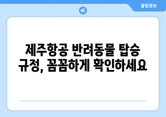 제주항공 반려동물 탑승 방법 | 안전하고 편안하게 여행