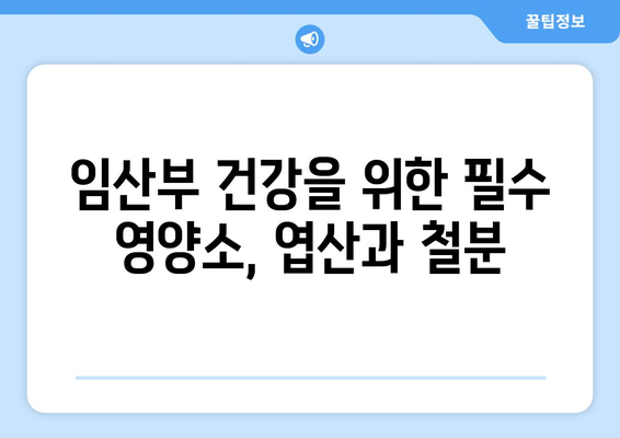 임산부 엽산제 철분제 지원 | 2024년 안내 및 신청 방법