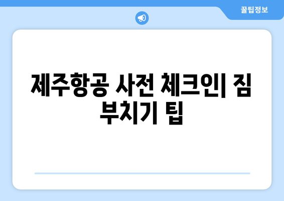 제주항공 사전체크인 가이드 | 공항 줄 서기를 피하세요