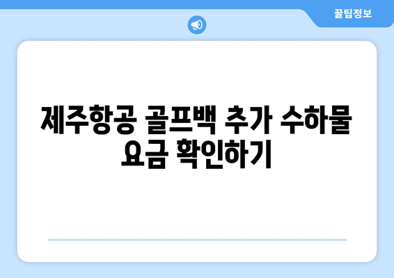 제주항공 골프백 수화물 규정 | 꼭 숙지하세요!