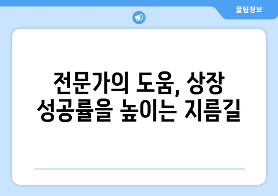 상장 요건과 절차 이해하기 | 성공적인 상장을 위한 가이드