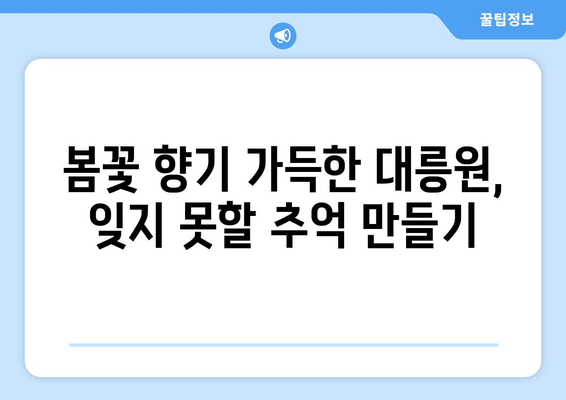 경주 대릉원 벚꽃길을 따라가는 경주 산책 투어