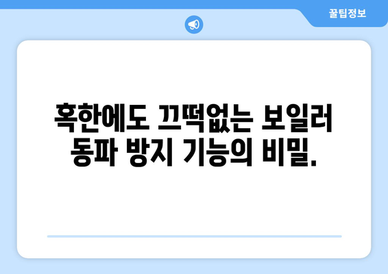 보일러 동파 방지기능의 힘 | 겨울철 따뜻한 가정을 위해