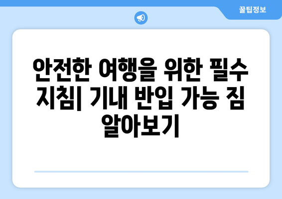 항공기 안전 가이드 | 반입 금지 및 허용 물품 알아두기