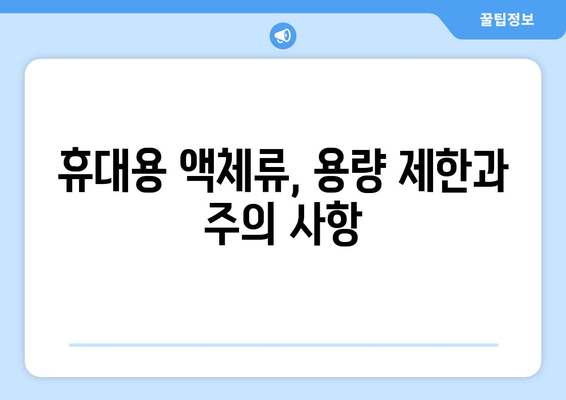 비행기 기내 안전 가이드 | 허용/금지 반입 물품 국내/해외 차이