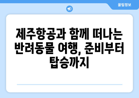 제주항공 반려동물 탑승 방법 | 안전하고 편안하게 여행