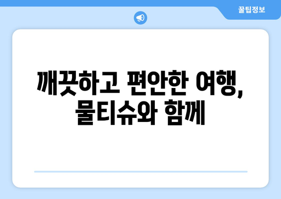 기내 물티슈 무제한 반입법 | 편안한 여행에 필수