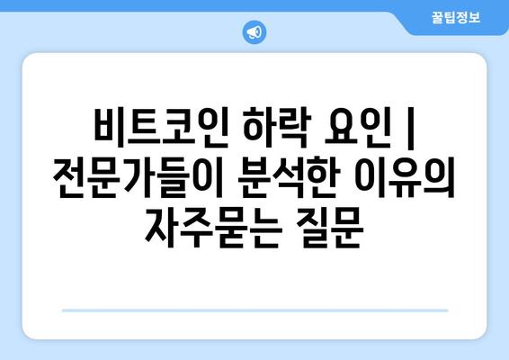 비트코인 하락 요인 | 전문가들이 분석한 이유