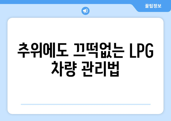 LPG 차량을 위한 필수품 | 겨울철 안전 운전에 대비하세요