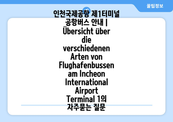 인천국제공항 제1터미널 공항버스 안내 | Übersicht über die verschiedenen Arten von Flughafenbussen am Incheon International Airport Terminal 1