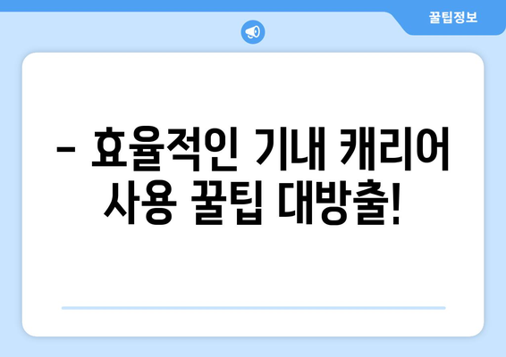 기내 캐리어 가이드 | 2024년 최신 규정 및 크기 총정리