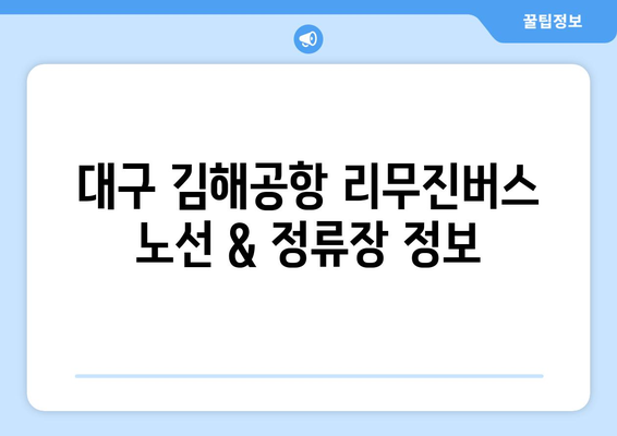 대구 김해공항 리무진버스 운행 시간표, 요금 및 예약 안내