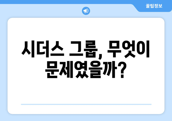 시더스 그룹 사기 사건 개요 | 이해하기 쉽게 정리