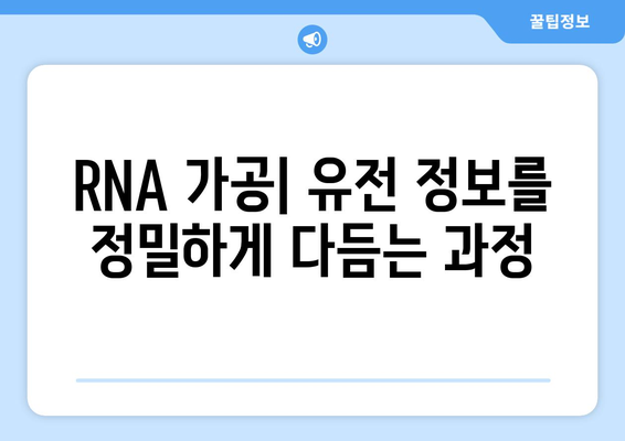 RNA 가공 및 조절 | 유전자 발현 정밀 조정