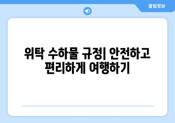 항공기 반입 규정 | 금지 물품과 허용 물질 안내