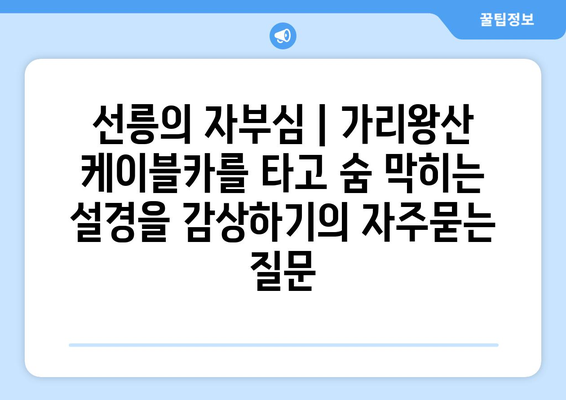 선릉의 자부심 | 가리왕산 케이블카를 타고 숨 막히는 설경을 감상하기