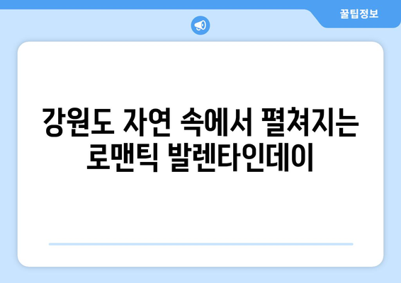 감성 넘치는 강원도 발렌타인데이 숙소 3선