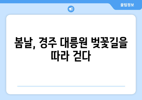 경주 대릉원 벚꽃길을 따라가는 경주 산책 투어